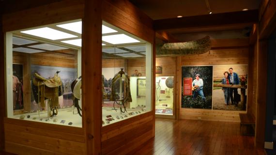Exhibit